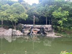 -宁波野生动物园