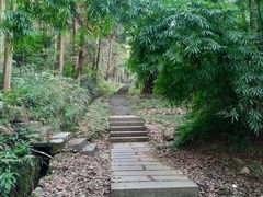 -潜山国家森林公园