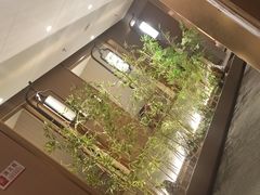 -宏宴·新京菜(望京店)