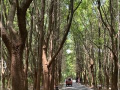 -同里国家湿地公园