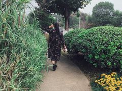 -太湖饭店玉兰厅(自助餐厅)