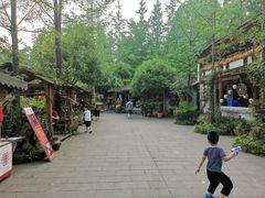 -青城甲(青城山店)