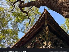 -北京国子监胡同