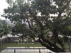 -邹记·美食(斗门店)