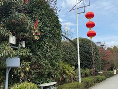 -郫都区农科村景区