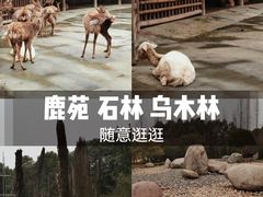 -金沙遗址博物馆