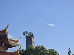 -江心屿景区