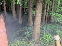 -东湖落雁景区
