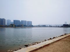 -金沙湖公园