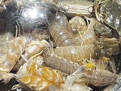 -集品鲜湾·蒸汽海鲜自助料理(青岛银座和谐广场店)