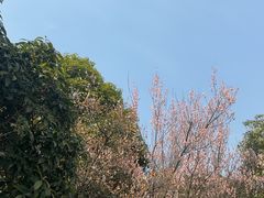 -南京珍珠泉风景区