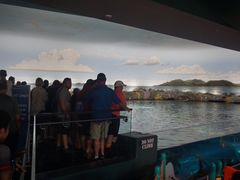 -瑞普利水族馆