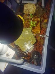 -韩孕社专业孕妇摄影(和平店)