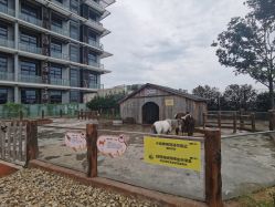 -造物庄园 萌宠纪(苏州湾歌林公园店)