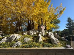-石家庄市植物园