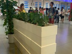 大堂-上海财经大学-武东食堂