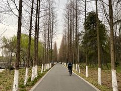 -昆山城市生态森林公园