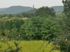 -北坞公园