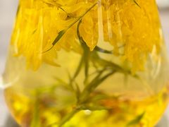 -芙蓉凰花园酒楼