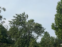 -西单明珠商场