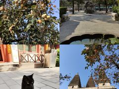 -北京石刻艺术博物馆(五塔寺)