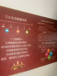 -Nora阿育吠陀·瑜伽·整体疗愈苑