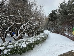 -古塔公园