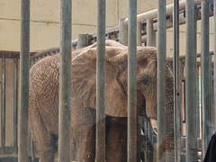 -石家庄市动物园