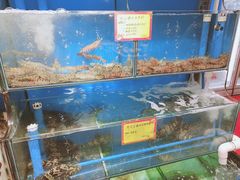 水产区-蚝专家(北滘店)
