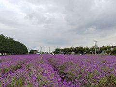 -嘉北郊野公园
