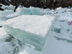 -长春市南湖公园