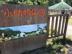 -前小桔亲子创意农场·草莓采摘·露营烧烤