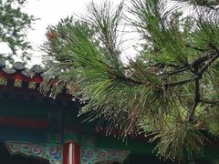 -承德避暑山庄景区