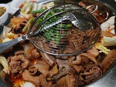 -古乐牛香·鲜牛肉牛杂火锅(新区店)