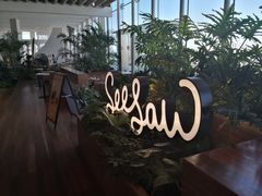 -Seesaw Coffee(朝阳大悦城店)