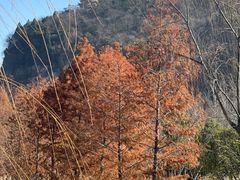 -狼山风景名胜区