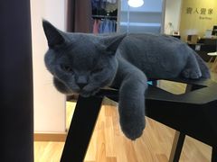 -壹人壹像工作室(购物公园店)