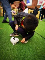 -萌宠亲子动物乐园(槐房万达店)