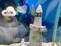 -太平洋海底世界