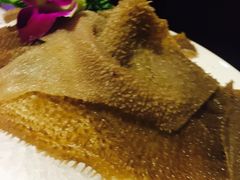 -龙凤禧毛肚火锅(阳光舜城店)