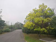 -梁鸿国家湿地公园