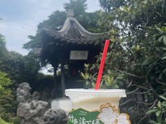 -何园