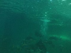 -苏州海洋馆