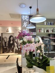 -悦SALON