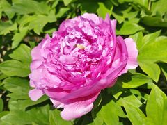 -江南大学(蠡湖校区)