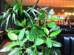 -大树餐厅(红旗街万达店)