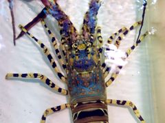-鲤鱼门海鲜街