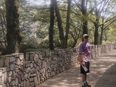 -木兰云雾山