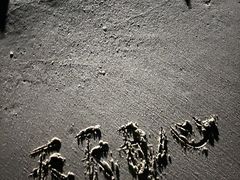 -西涌国际滨海旅游区