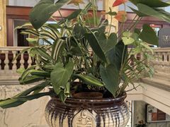 -交通银行(上海市分行营业部)